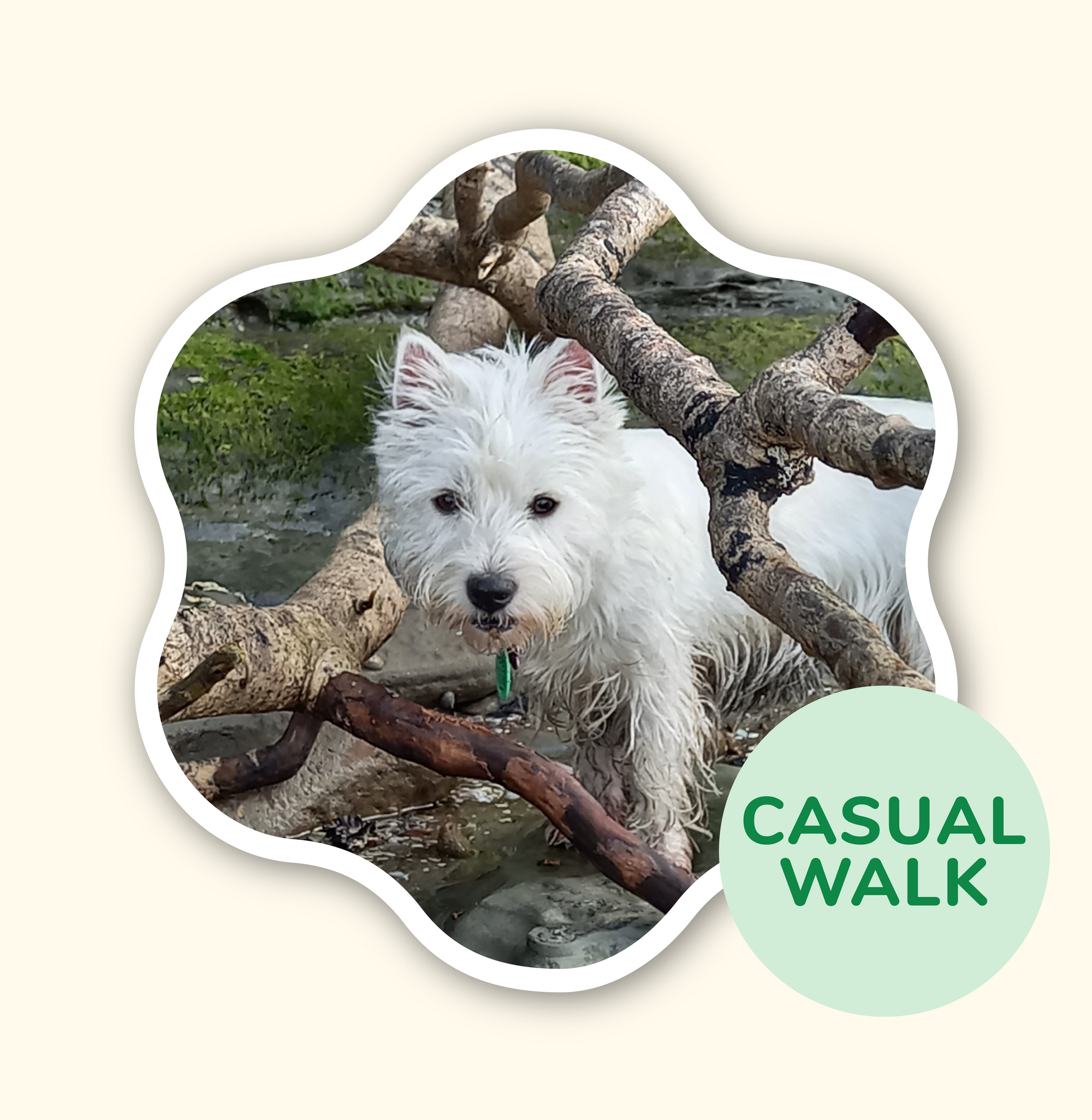 Scratch n Sniff Adventure Walk (Half Day Adventure)