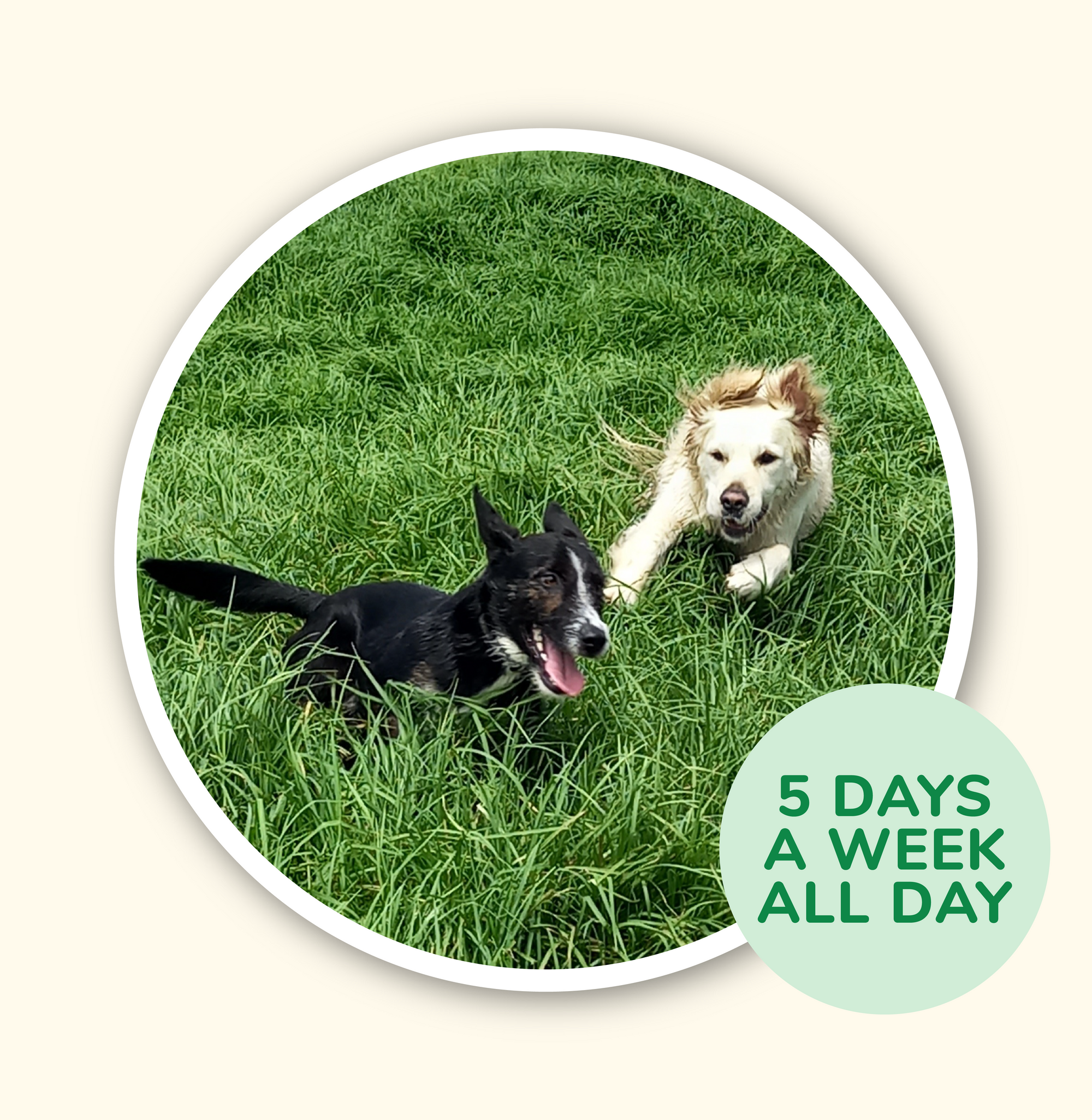 Adrenaline Junky Adventure Walk (All Day Adventure) - 5 Days a week