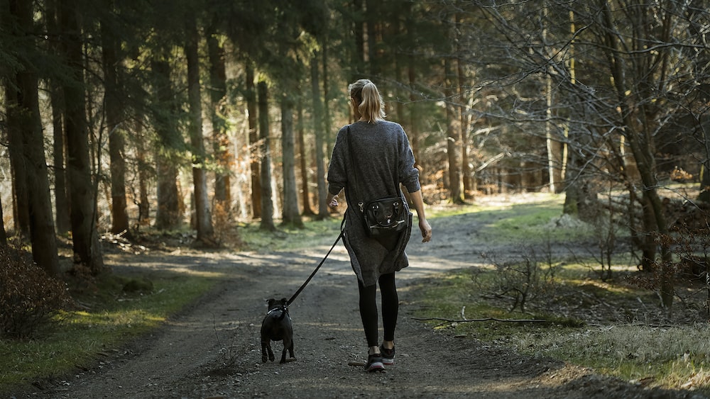 10 Dog Walking Tips to Get Your Dog Under Control